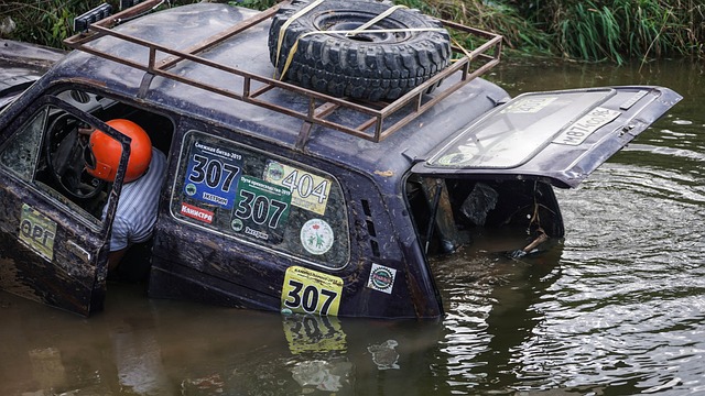 陈涛：我对新鹏城有很深的情感，但很多东西需要的是双向奔赴
