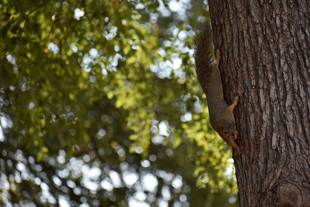 博尼：米兰德比氛围堪比皇马对阵巴萨；我要提升背身持球能力