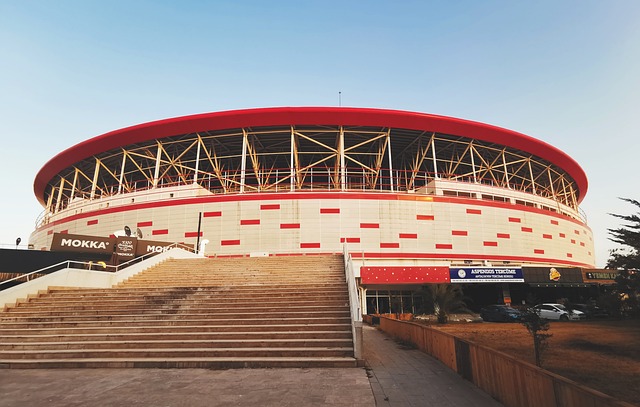 他踢得太聪明了